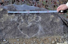 Đừng xuất khẩu thói xấu!