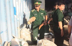 Chủ tịch Đà Nẵng khen thưởng vụ bắt giữ hơn 10 tấn ngà voi nhập lậu