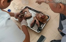 55 địa phương phát hiện nhiễm sán lợn