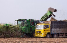 Đồng hành hỗ trợ, duy trì lợi nhuận cho nông dân