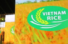 Lần đầu tiên Việt Nam có logo thương hiệu gạo Quốc gia