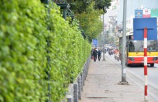 Câu chuyện vỉa hè