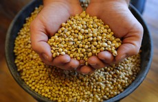 Mỹ mạnh tay với thực phẩm organic 'dỏm'