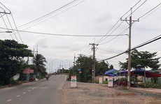 Thị trường bất động sản 2019: Đất nền vẫn là “vua”