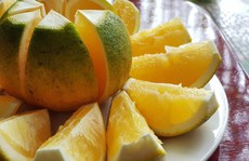 Cam Cao Phong tự hào góp mặt vào bữa ăn 4 sao của Vietnam Airlines