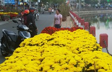 Nông dân ĐBSCL trúng đậm mùa Tết