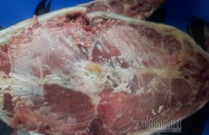 Đại gia Hà Nội xẻ thịt thủy quái 120kg đãi khách ngày Tết