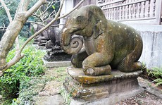 10 linh thú quỳ chầu ở chùa Phật Tích