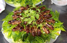 6 đặc sản miền Tây nhìn 'sợ chết khiếp' nhưng tuyệt ngon