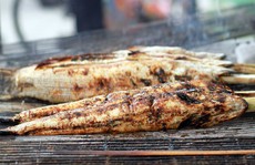Ngon như 'cá lóc đồng'