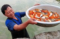 Clip cảnh tất bật ở làng sản xuất “phương tiện” để ông Táo về chầu trời