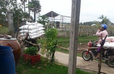 Buôn lậu hoành hành ở vùng biên