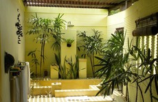 Ngắm loạt thiết kế tiểu cảnh giếng trời đẹp lung linh