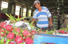 Trung Quốc 'siết' nhập khẩu trái cây từ Việt Nam