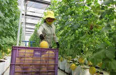 Đổ vốn lớn vào nông nghiệp