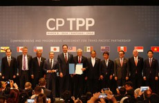 11 nước ký kết CPTPP - hiệp định thay thế TPP