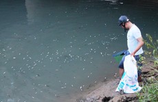 Khẩn cấp truy tìm thủ phạm vụ cá chết bất thường ở Quảng Ngãi
