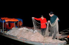 'Quái ngư' sông Đà và cuộc 'vật lộn' ly kỳ giữa người với cá