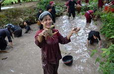 Làm gì để du khách đến và trở lại ĐBSCL?