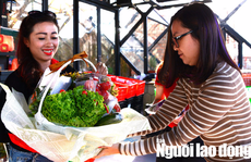 Quà Tết độc đáo của nông dân Đà Lạt