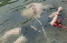 Đôi nam nữ chết trong tư thế nắm chặt tay nhau dưới hồ