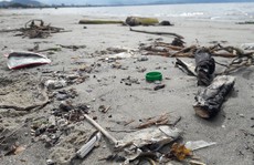 Đà Nẵng: Hơn 5 km bờ biển Nguyễn Tất Thành bị rác thải bủa vây