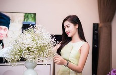 Chung cư tiền tỷ của gia đình Á hậu Huyền My
