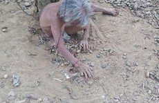 Tường trình của người chồng xích vợ ở gốc cây