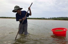 'Cao thủ' bật mí tuyệt chiêu 'săn' lịch trên sông Trà Khúc
