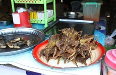 Đi du lịch tránh ăn những thứ này để khỏi rước họa vào thân