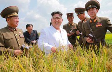 Triều Tiên chịu đàm phán vì 'thấm đòn' trừng phạt: Chưa chắc!