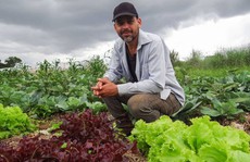 Người Brazil chung tay giúp nông dân organic