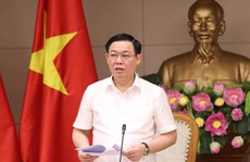 Phó Thủ tướng yêu cầu Bộ GTVT rút kinh nghiệm điều hành giá vé máy bay