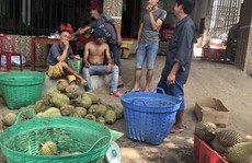 Thực hư về “sầu riêng ăn trả hạt' giá 15.000 đồng/kg