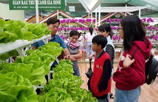 Thời của du lịch canh nông