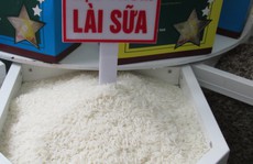 Vì sao xuất khẩu gạo sang Trung Quốc đột ngột sụt giảm?