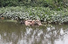 Tá hỏa phát hiện thi thể người đàn ông nổi trên hồ