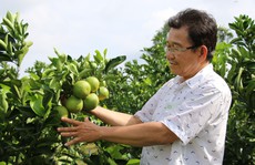 Đồng Tháp chủ động phá thế độc canh cây lúa