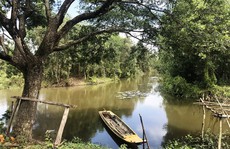 Một ngày thư giãn ở khu bảo tồn 'Cánh đồng bất tận'