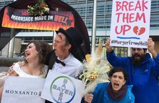 Tai tiếng Monsanto: Cuộc 'hôn nhân' tai hại
