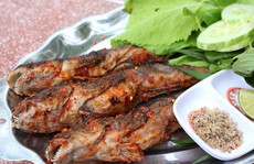 Đến Cà Mau ăn thử cá thòi lòi nướng muối ớt