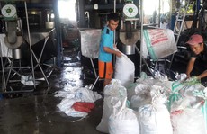 Đà Nẵng: Sản xuất đá viên bẩn, một cơ sở bị lập biên bản