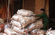 Liên tiếp phát hiện các điểm hóa kiếp nông sản Trung Quốc thành Đà Lạt