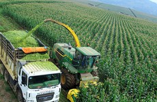 Doanh nghiệp nông nghiệp bức xúc đủ điều