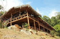 Dựng nhà gỗ lớn giữa rừng, không cần đến đinh