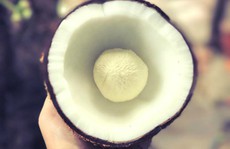 Giá cao gấp 30 lần quả, mộng dừa vẫn 'cháy hàng'