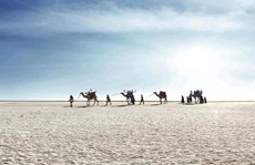 Hình ảnh siêu thực ở sa mạc muối khổng lồ của Ấn Độ