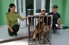Nhóm thanh niên góp tiền giải cứu cá thể khỉ quý hiếm