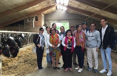 'Mục sở thị' gia đình Friso tại Hà Lan