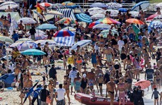 Sydney như 'lò lửa', dân ùn ùn kéo ra biển